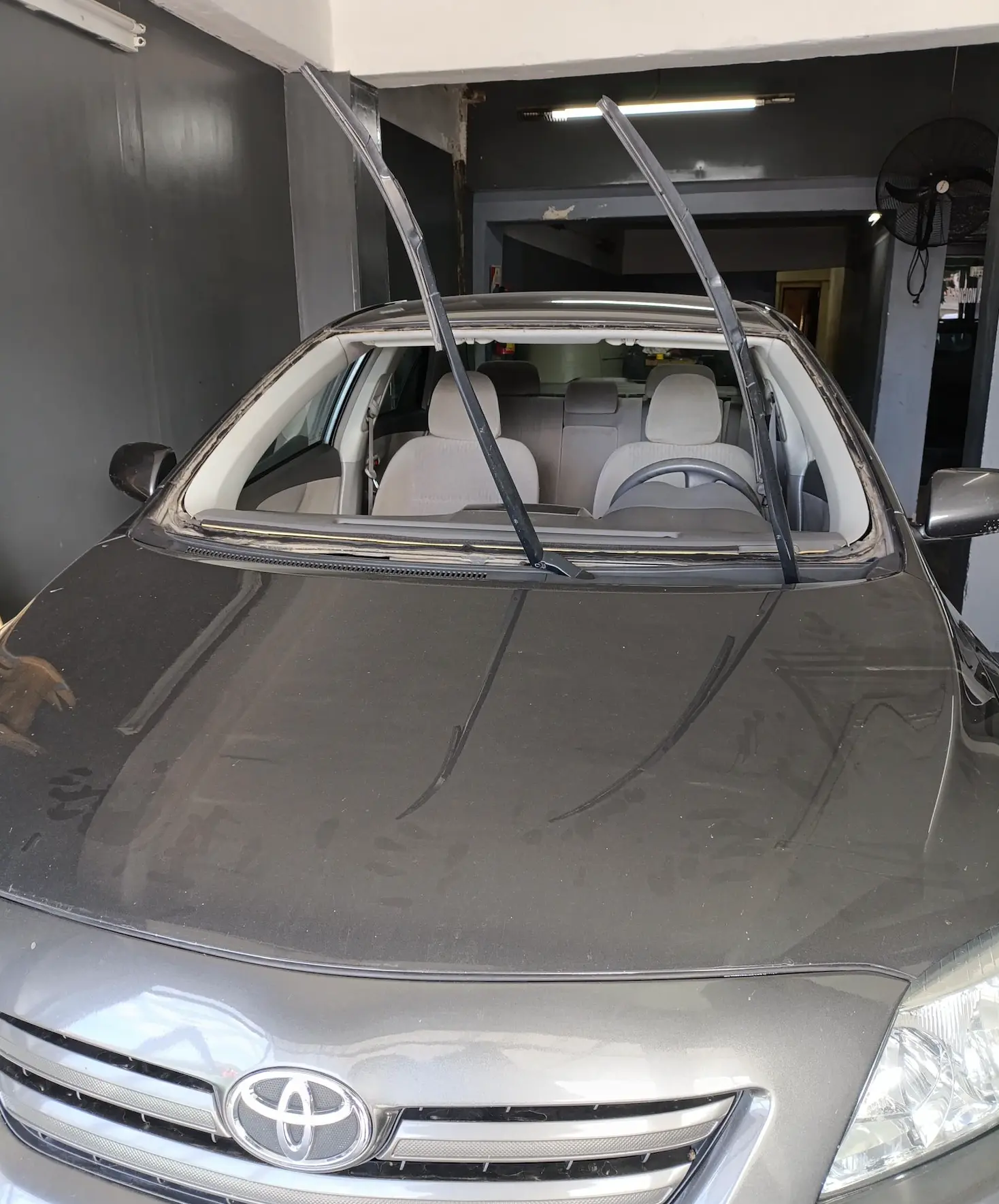 Automóvil